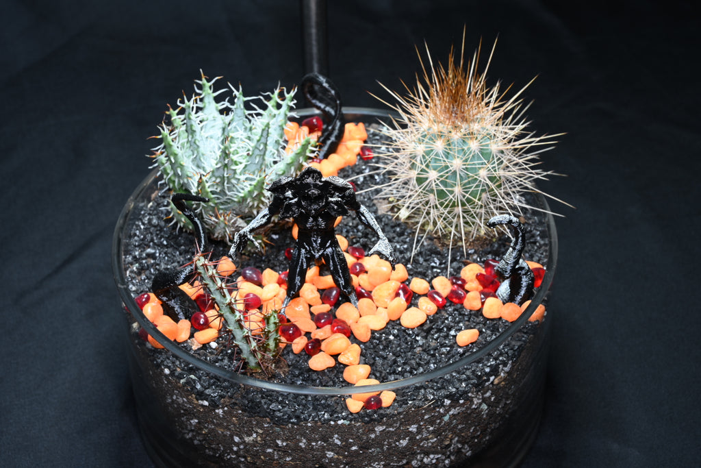 SOLD OUT Demigorgon Terrarium