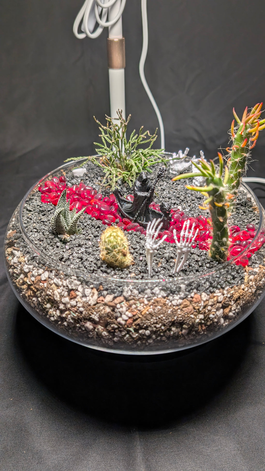 SOLD OUT River Styx Terrarium