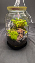 Pickle Jar