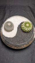 Yin Yang 2