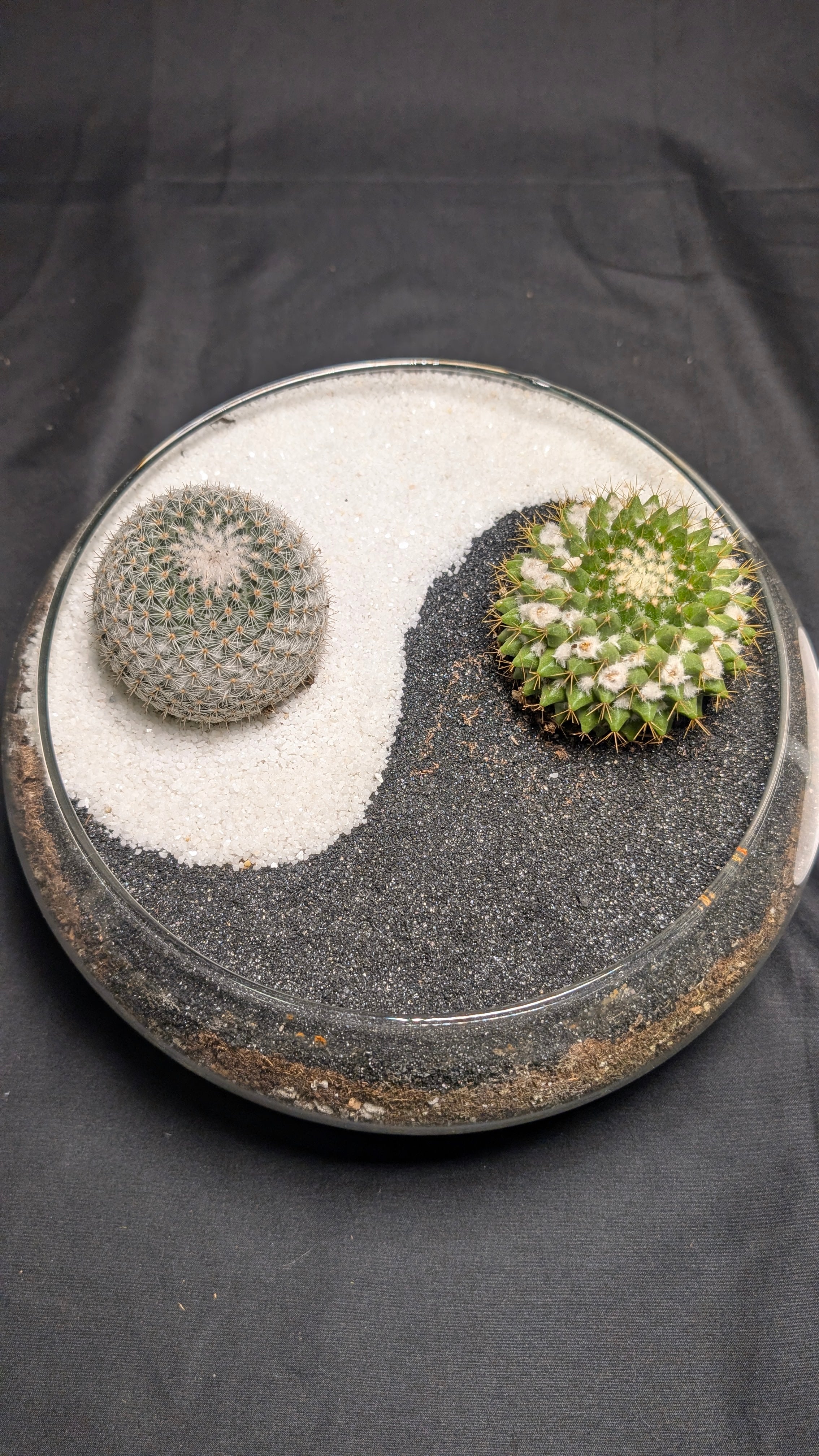 Yin Yang 2