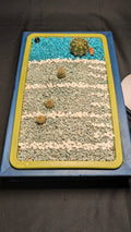 Seahawks touchdown 2