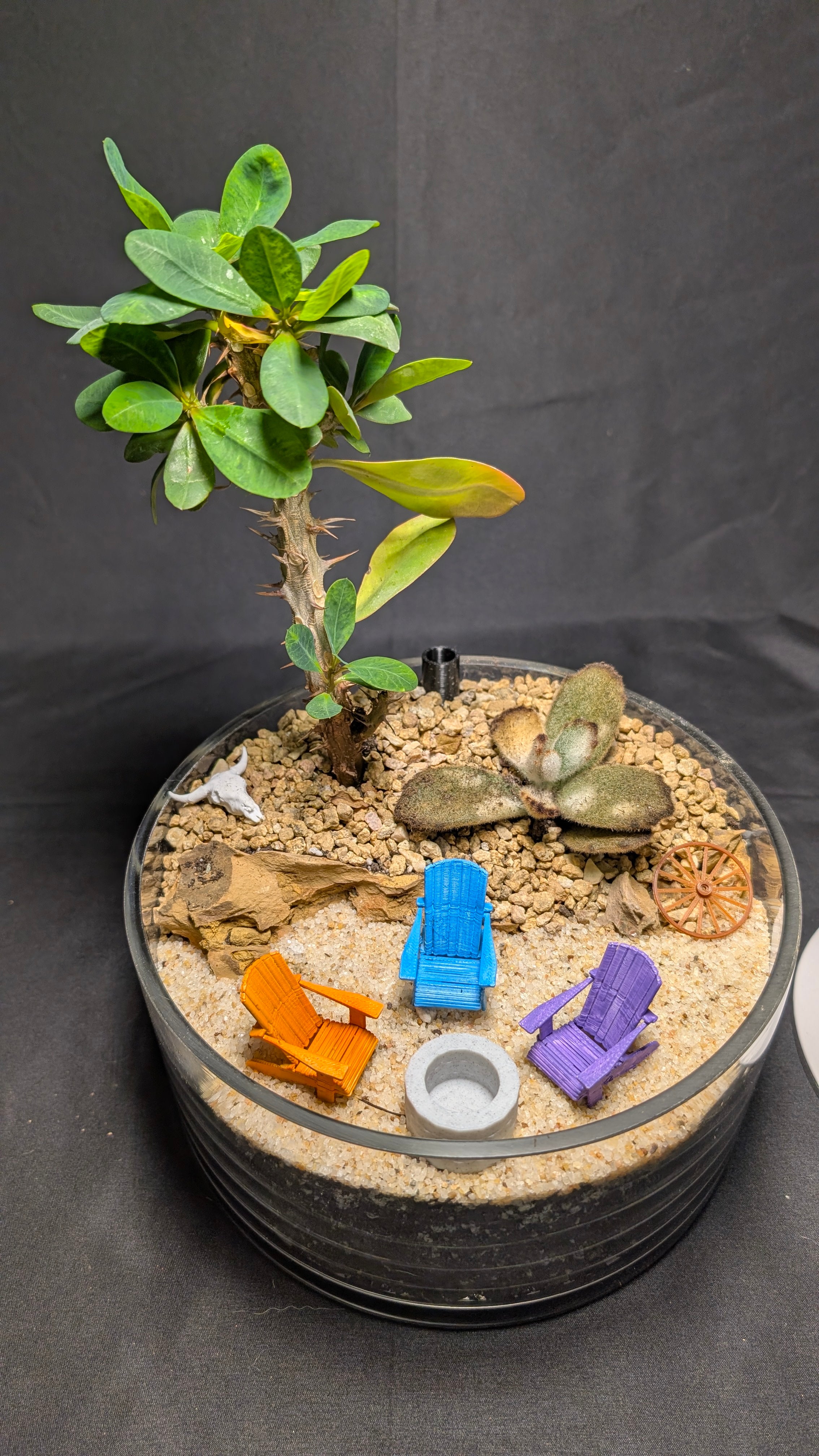 Desert Rose Firepit