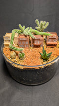 Old West Town Peanut Cactus