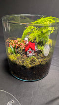Lazy cottage in the mossy woods