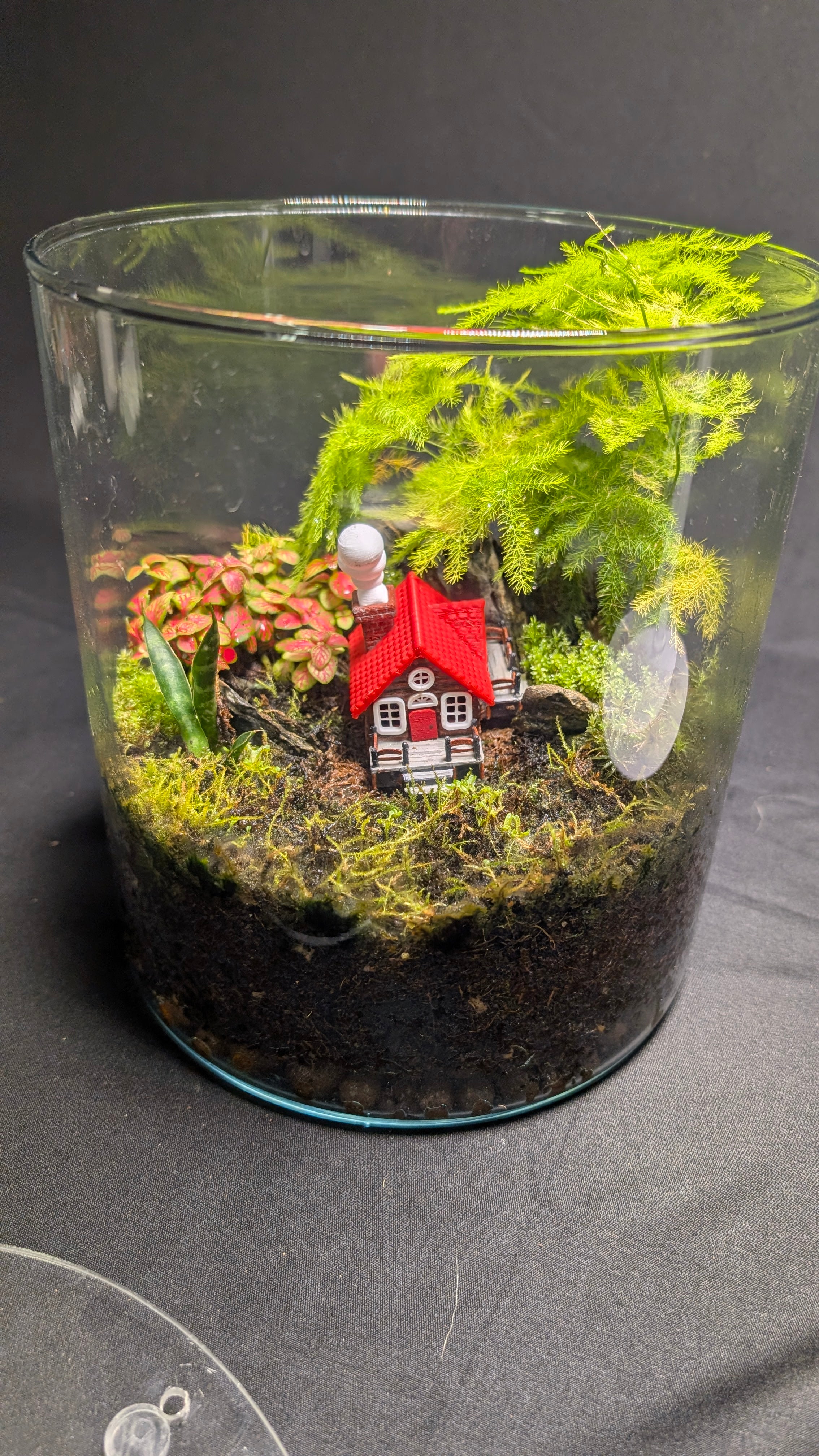 Lazy cottage in the mossy woods