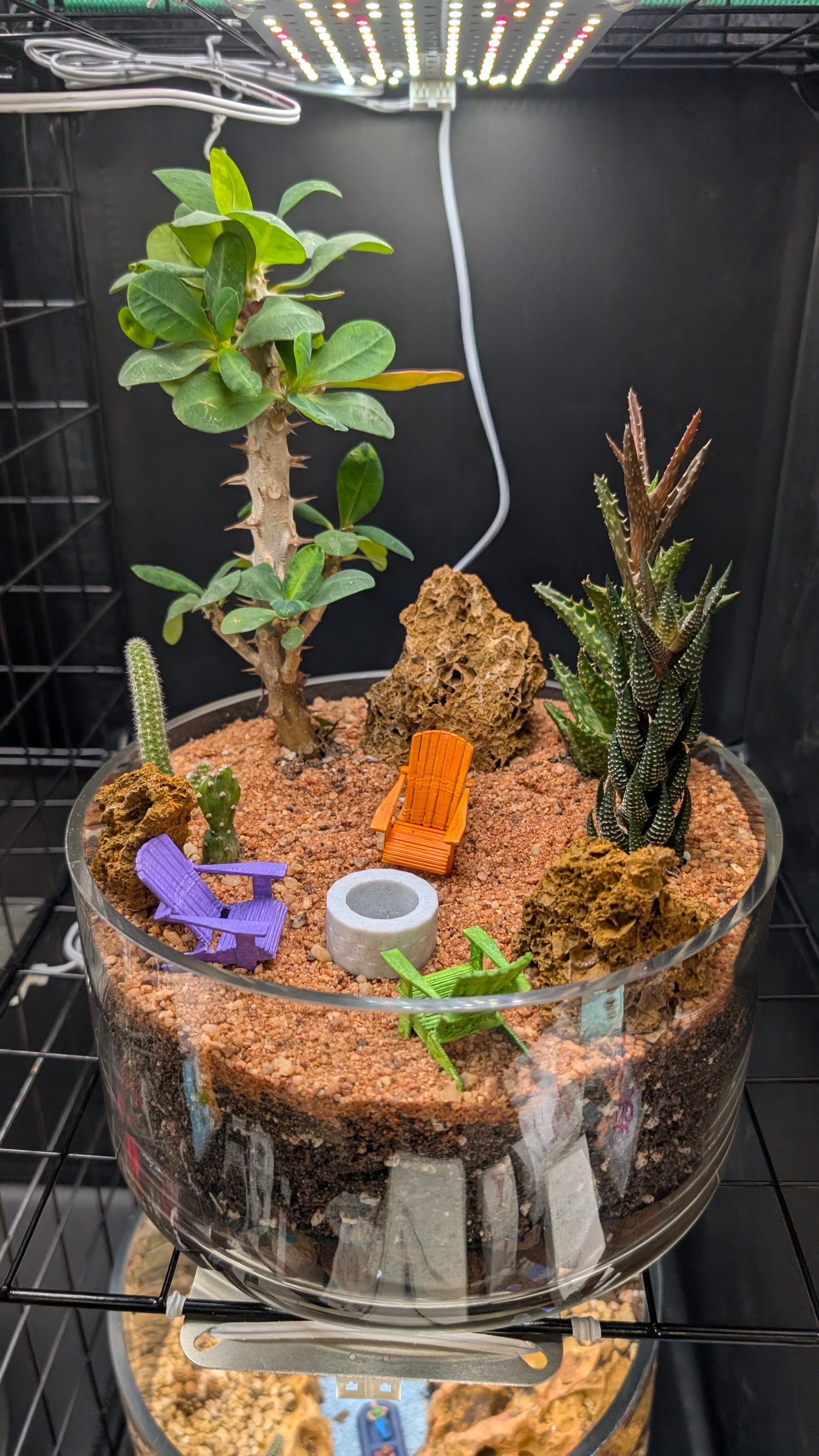 Desert Rose Firepit 2