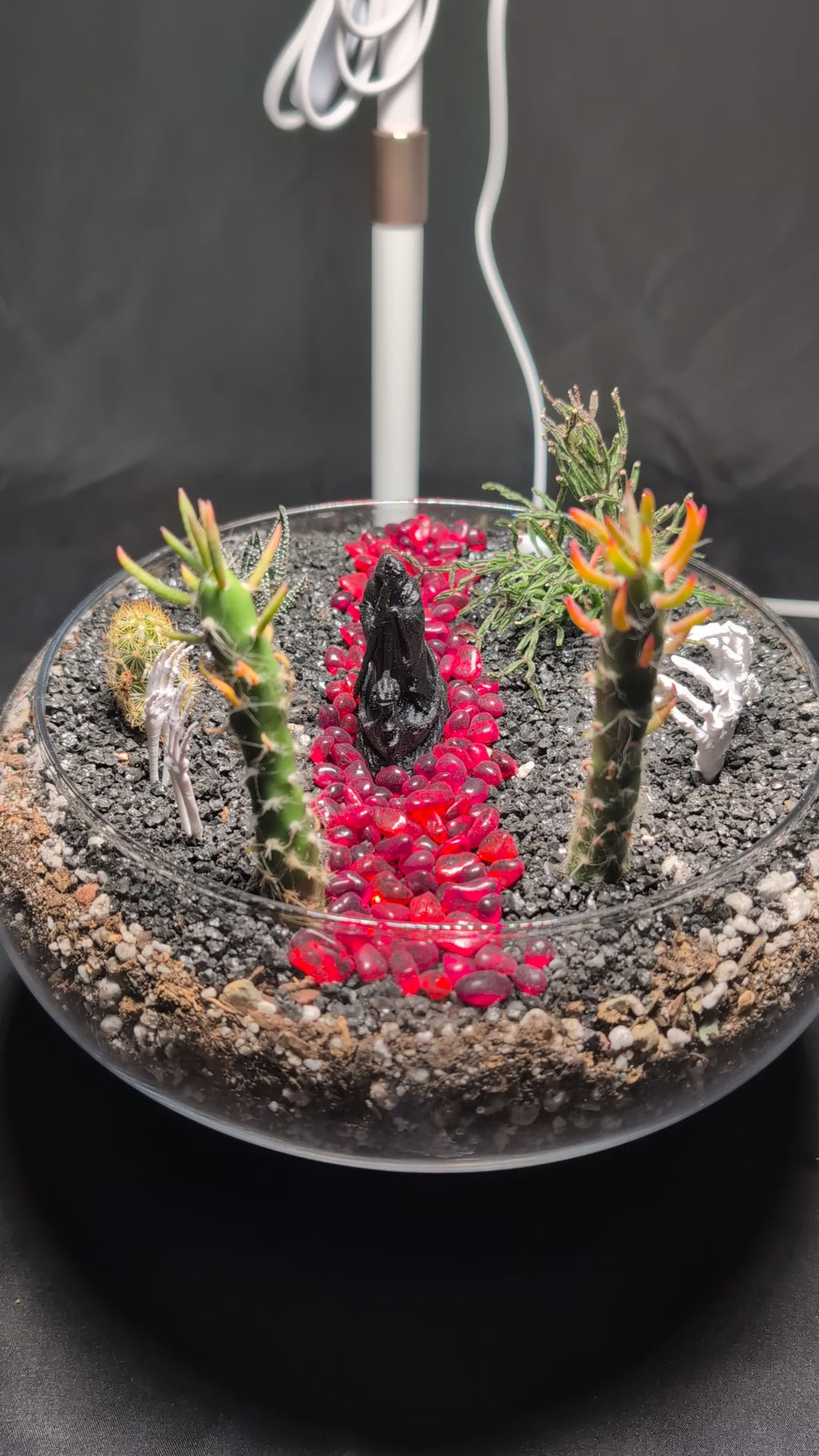 SOLD OUT River Styx Terrarium