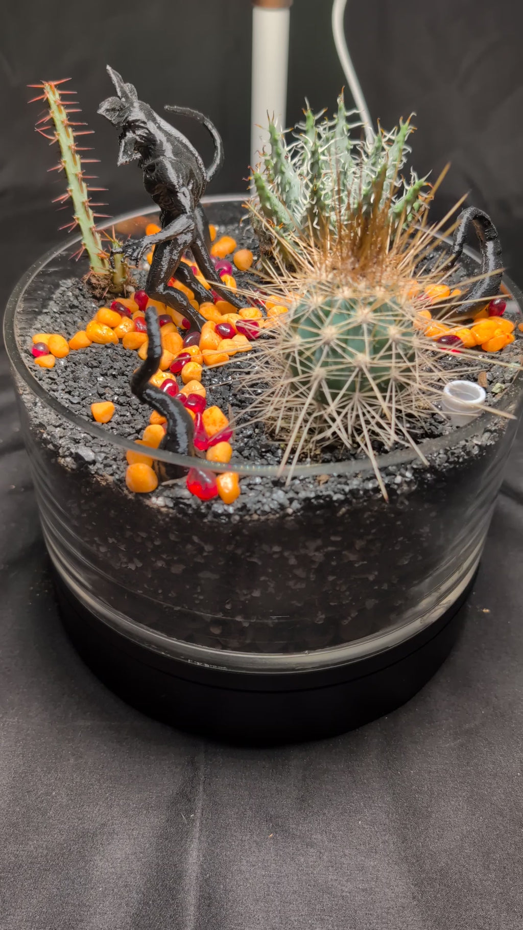SOLD OUT Demigorgon Terrarium